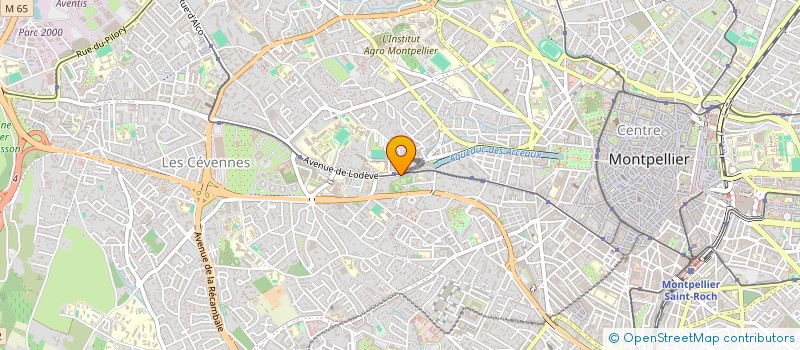 localisation de l'entreprise MONSIEUR JEAN PIERRE MONTALTI à MONTPELLIER