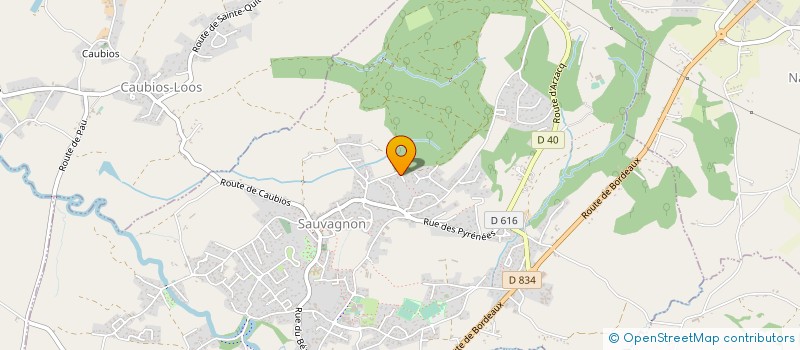 localisation de l'entreprise MONSIEUR JEAN PIERRE PEYS  SAUVAGNON