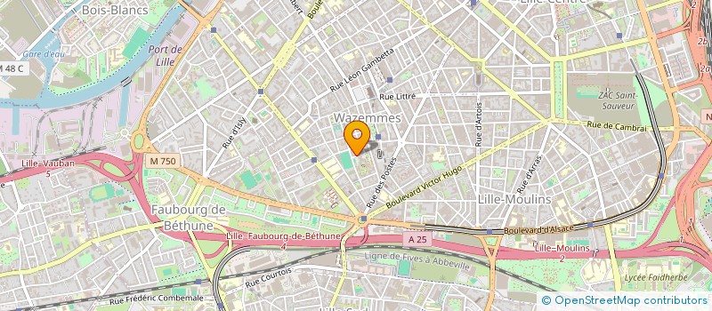 localisation de l'entreprise MONSIEUR JEAN PILLOT à LILLE