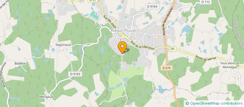 localisation de l'entreprise MONSIEUR JEAN RAILLE  PIEGUT-PLUVIERS