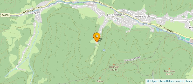 localisation de l'entreprise MONSIEUR JEAN RASSER  LAUTENBACH-ZELL