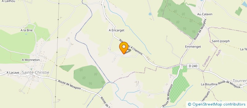 localisation de l'entreprise MONSIEUR JEAN REBEIL  MONTESTRUC-SUR-GERS