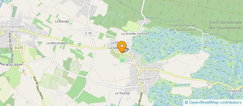 localisation de l'entreprise MONSIEUR JEAN REMINIAC  SAINT-GEORGES-D'OLERON