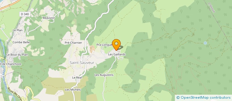 localisation de l'entreprise MONSIEUR JEAN-REMY MAGNAN  SAINT-SAUVEUR