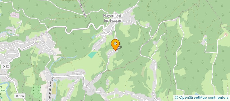 localisation de l'entreprise MONSIEUR JEAN-RENE DELONG  NAYEMONT-LES-FOSSES
