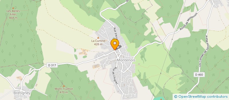 localisation de l'entreprise MONSIEUR JEAN RICHARD  MONTENOIS