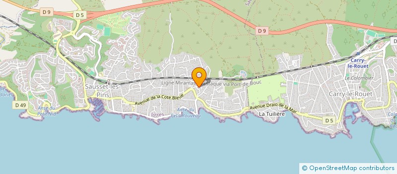 localisation de l'entreprise MONSIEUR JEAN RICHAUD  SAUSSET-LES-PINS