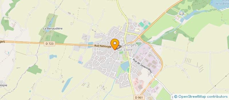 localisation de l'entreprise MONSIEUR JEAN RICHY  SAINT-GEORGES-SUR-LOIRE