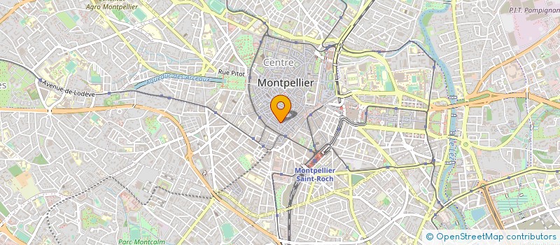 localisation de l'entreprise MONSIEUR JEAN RIFFARD à MONTPELLIER