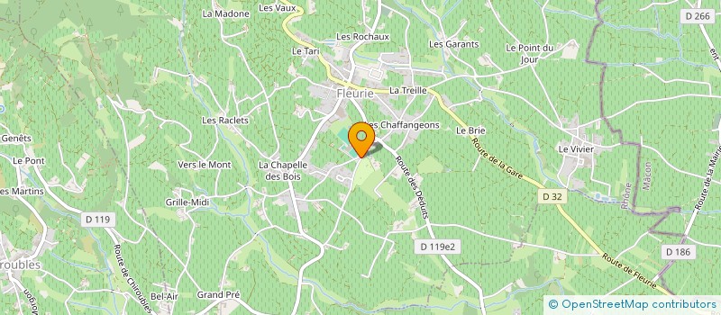 localisation de l'entreprise MONSIEUR JEAN RINGUET à FLEURIE