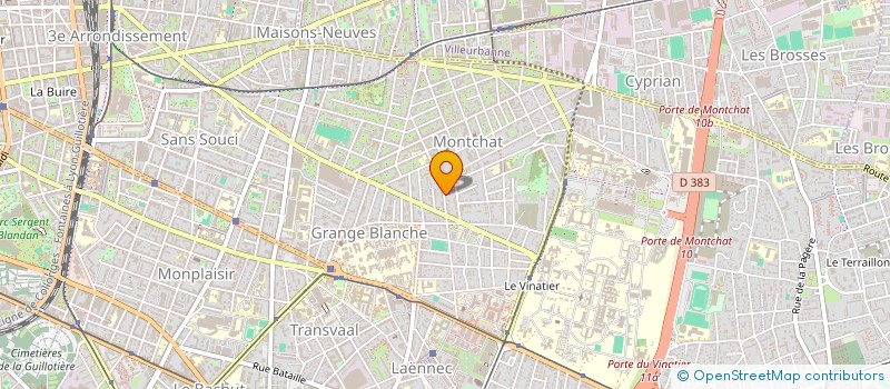 localisation de l'entreprise MONSIEUR JEAN ROBIN à LYON