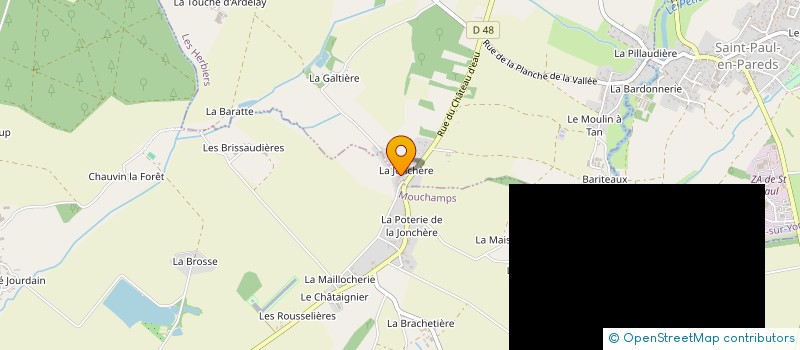 localisation de l'entreprise MONSIEUR JEAN RONCHETTI  LES HERBIERS