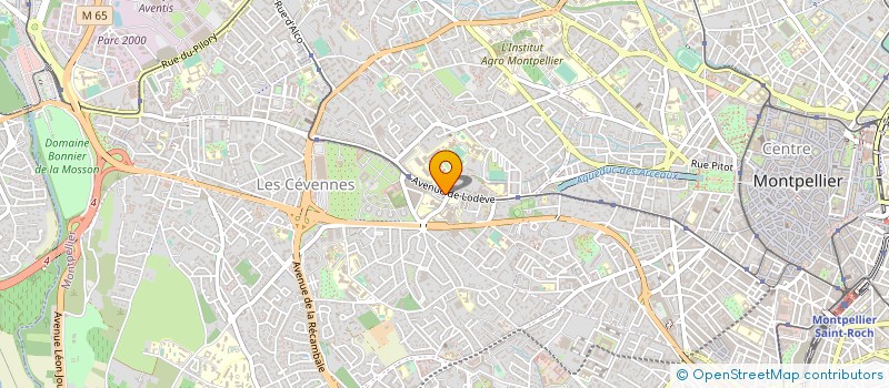 localisation de l'entreprise MONSIEUR JEAN ROUSSEAU à MONTPELLIER