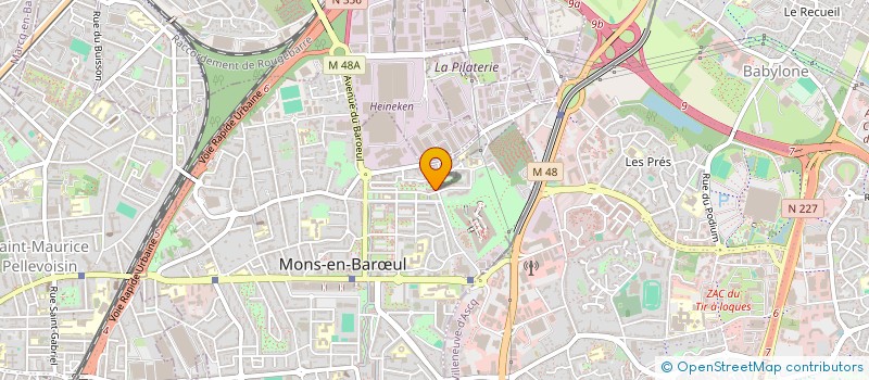 localisation de l'entreprise MONSIEUR JEAN SALINGUE  MONS-EN-BARUL