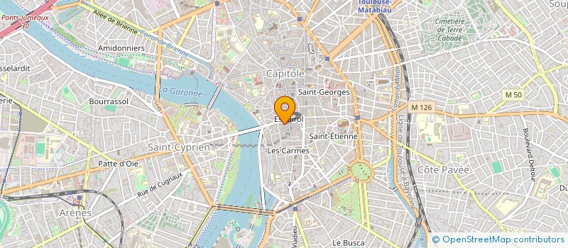 localisation de l'entreprise MONSIEUR JEAN SANCERNI  TOULOUSE