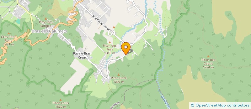 localisation de l'entreprise MONSIEUR JEAN SAUTRON  LA PLAINE-DES-PALMISTES