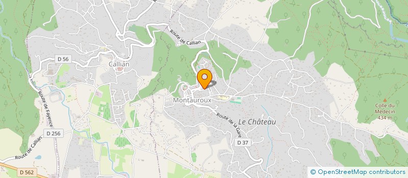 localisation de l'entreprise MONSIEUR JEAN-SEBASTIEN DECOCK  MONTAUROUX