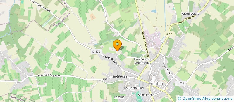 localisation de l'entreprise MONSIEUR JEAN SEGUIER  FRONTON