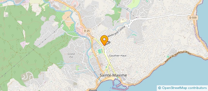 localisation de l'entreprise MONSIEUR JEAN SEONNET à SAINTE-MAXIME