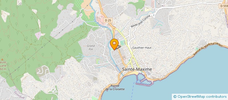 localisation de l'entreprise MONSIEUR JEAN SEVA à SAINTE-MAXIME