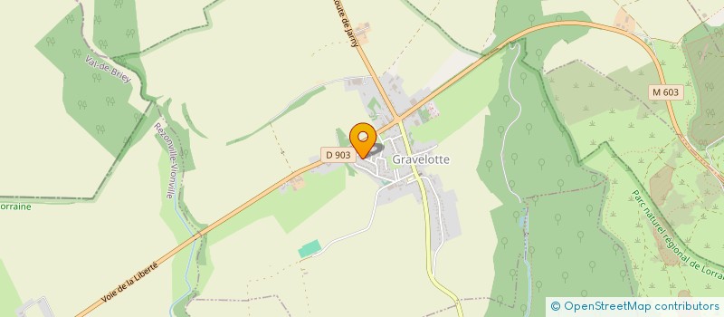 localisation de l'entreprise MONSIEUR JEAN SKOWRON  GRAVELOTTE