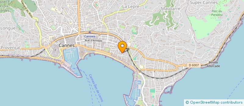 localisation de l'entreprise MONSIEUR JEAN-STEPHANE CAMERINI à CANNES