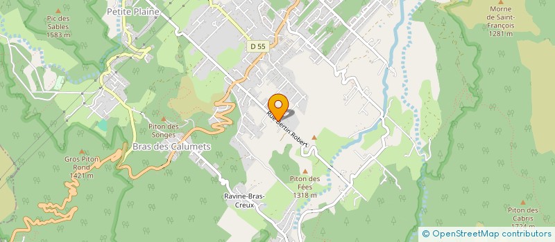 localisation de l'entreprise MONSIEUR JEAN TECHER  LA PLAINE-DES-PALMISTES