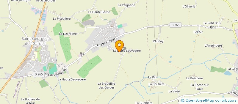 localisation de l'entreprise MONSIEUR JEAN TELLIER à CHEMILLE-EN-ANJOU