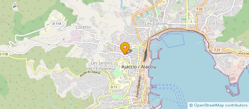 localisation de l'entreprise MONSIEUR JEAN THETARD à AJACCIO