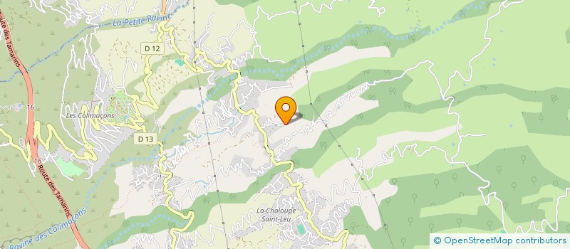 localisation de l'entreprise MONSIEUR JEAN THOMAS  SAINT-LEU