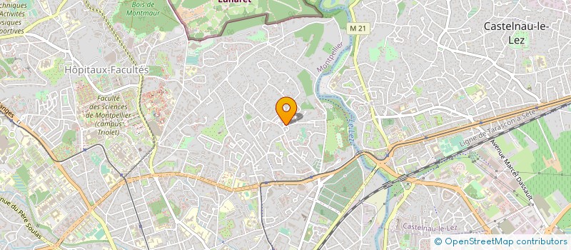 localisation de l'entreprise MONSIEUR JEAN TOMAS à MONTPELLIER