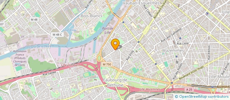 localisation de l'entreprise MONSIEUR JEAN TRANCART à LILLE