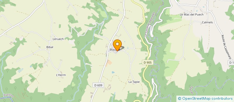 localisation de l'entreprise MONSIEUR JEAN UCHWAT à LA SALVETAT-PEYRALES