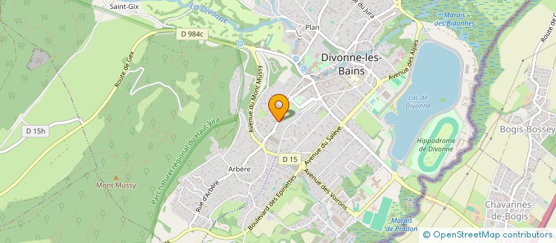 localisation de l'entreprise MONSIEUR JEAN VERGER  DIVONNE-LES-BAINS