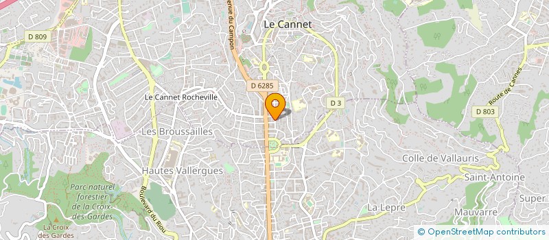 localisation de l'entreprise MONSIEUR JEAN VOARINO  LE CANNET