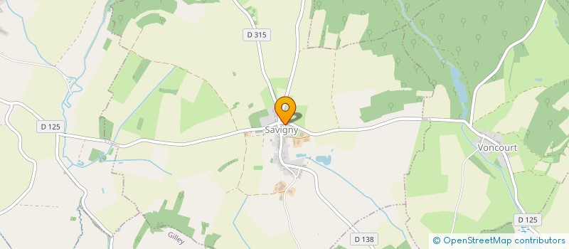 localisation de l'entreprise MONSIEUR JEAN WITKOWSKI  SAVIGNY