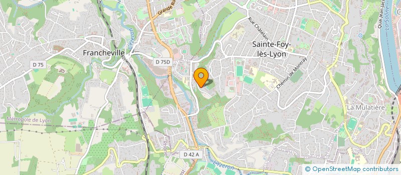 localisation de l'entreprise MONSIEUR JEAN XAVIER MARY  SAINTE-FOY-LES-LYON