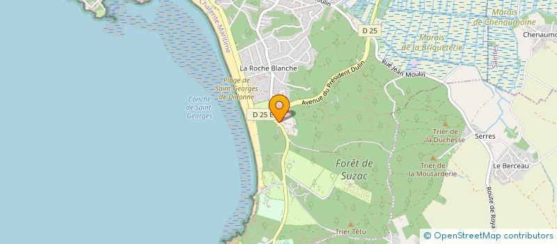 localisation de l'entreprise MONSIEUR JEAN-YVES COUTAULT  SAINT-GEORGES-DE-DIDONNE