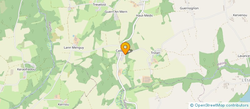 localisation de l'entreprise MONSIEUR JEAN-YVES LUBIN  PLESIDY