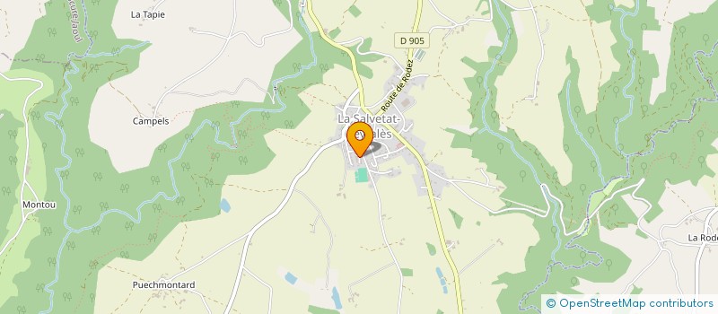 localisation de l'entreprise MONSIEUR JEAN-YVES PAUZIE  LA SALVETAT-PEYRALES