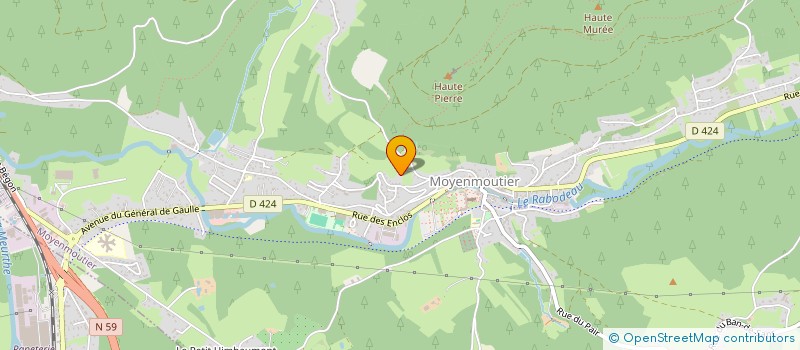 localisation de l'entreprise MONSIEUR JEAN-YVES PETITNICOLAS  MOYENMOUTIER