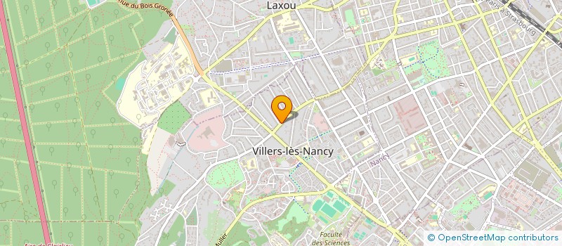 localisation de l'entreprise MONSIEUR JEAN ZIELINGER  VILLERS-LES-NANCY
