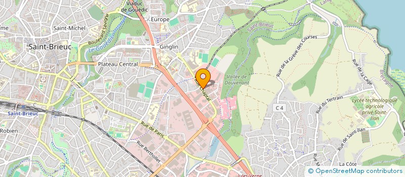 localisation de l'entreprise MONSIEUR JEAN ZWAHLEN à SAINT-BRIEUC