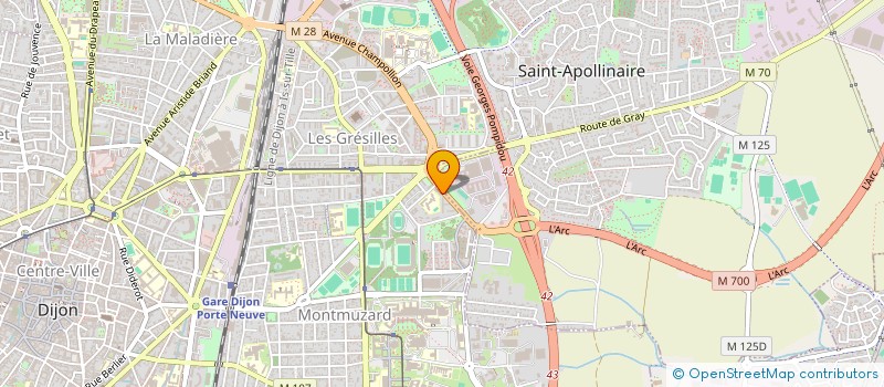 localisation de l'entreprise MONSIEUR JEANSLY TSASA  DIJON