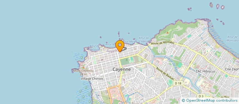localisation de l'entreprise MONSIEUR JEANTY ARISTEL  CAYENNE