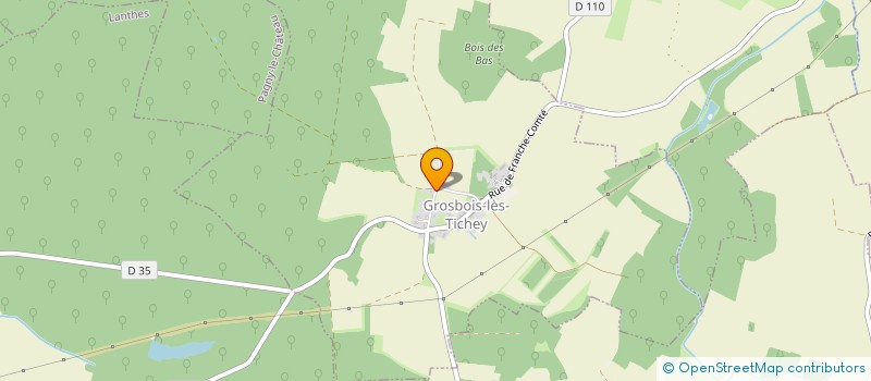 localisation de l'entreprise MONSIEUR JEFFERSON BOUGEROL  GROSBOIS-LES-TICHEY