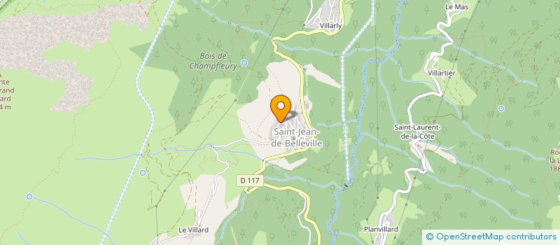 localisation de l'entreprise MONSIEUR JEREMIE BORREL  LES BELLEVILLE