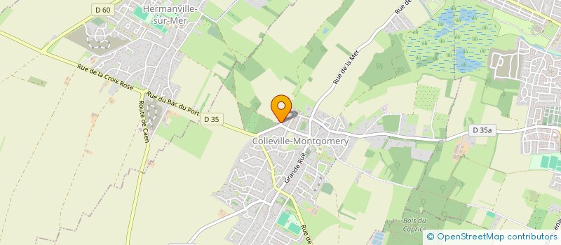 localisation de l'entreprise MONSIEUR JEREMIE DEKEYSER  COLLEVILLE-MONTGOMERY
