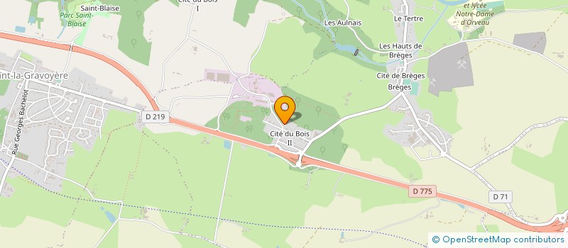 localisation de l'entreprise MONSIEUR JEREMIE TOURNEUX  SEGRE-EN-ANJOU BLEU