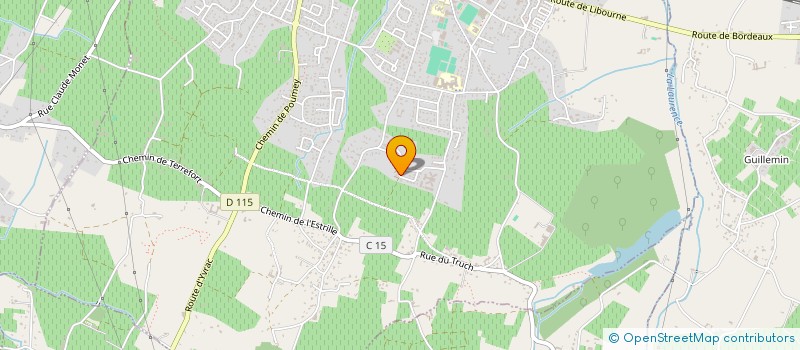 localisation de l'entreprise MONSIEUR JEREMY ARENAS  SAINT-LOUBES